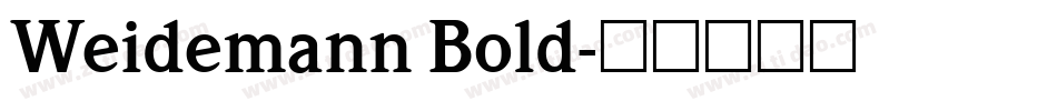 Weidemann Bold字体转换